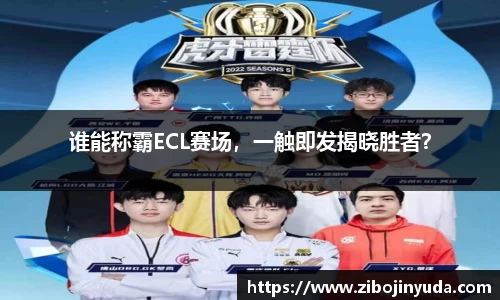 伟德bv国际体育